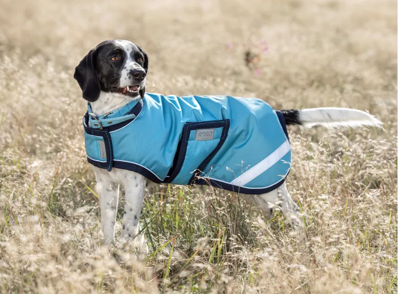 Ripstop dog coat top